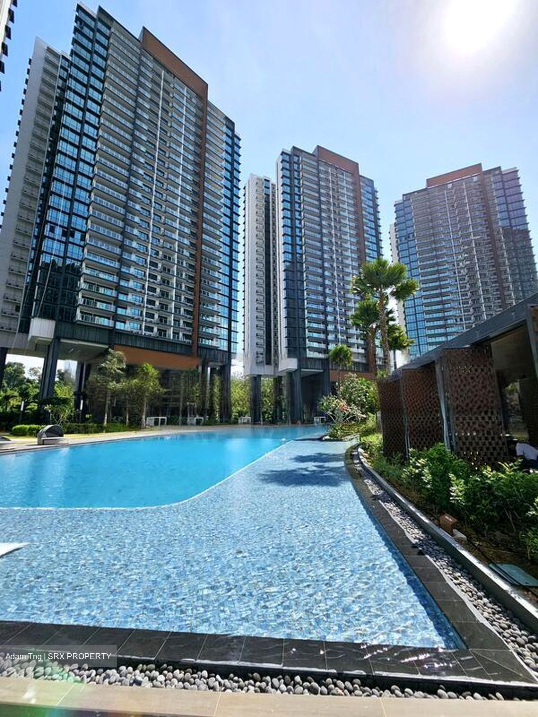 Normanton Park (D5), Apartment #454711251